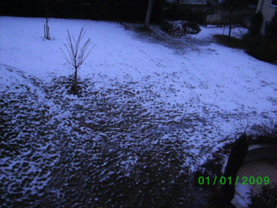 Gartenanlage Hotel Apollo