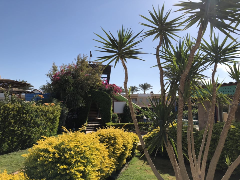 Gartenanlage Golden Beach Resort