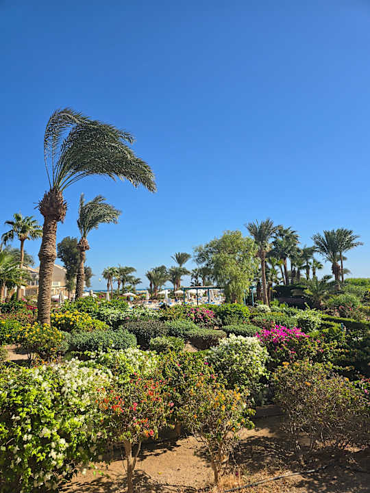 Gartenanlage Mövenpick Resort & Spa El Gouna