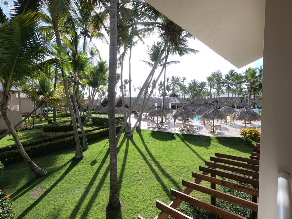 Gartenanlage Hotel Grand Palladium Palace Resort, Spa & Casino