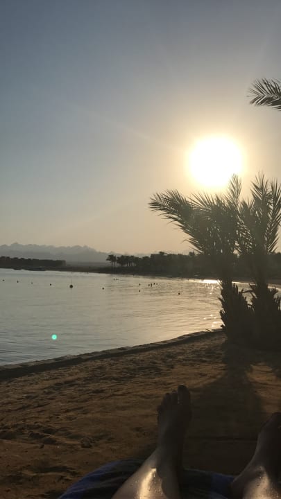 Strand Palm Royale Resort - Soma Bay