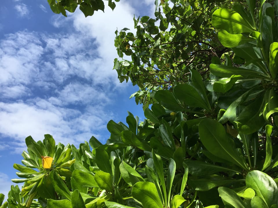 Garten NH Collection Maldives Reethi Resort
