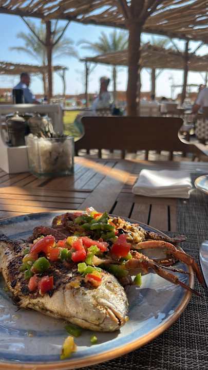 Gastro Steigenberger Resort Ras Soma