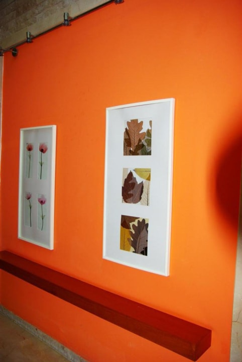 Bildermotive Gang TUI BLUE Xanthe