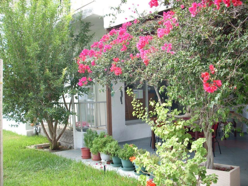 Garden Hotel Sea Breeze