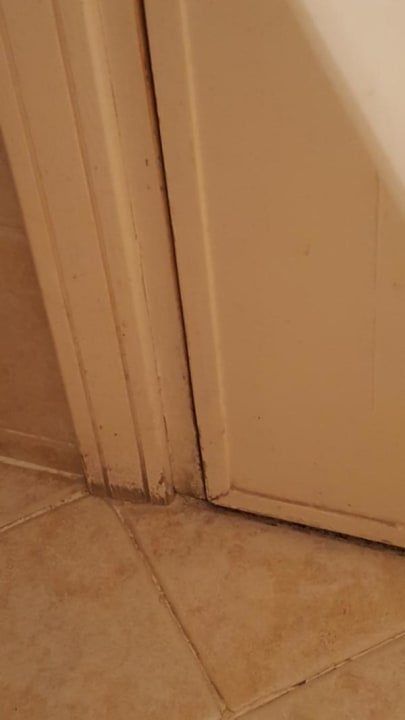 Zimmer Ghazala Gardens