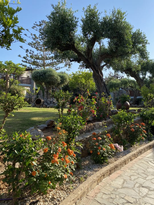 Gartenanlage Ikaros Beach Luxury Resort & Spa - Adults Only