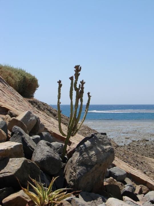 Przy Panoramie Three Corners Equinox Beach Resort