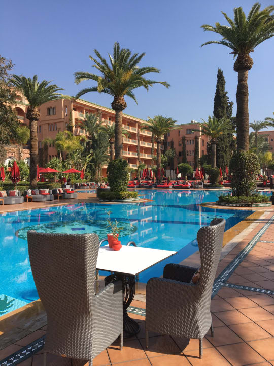 Pool Hotel Sofitel Marrakech Palais Imperial