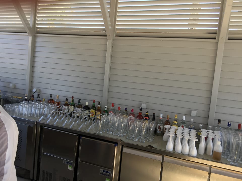 Gastro Paloma Finesse