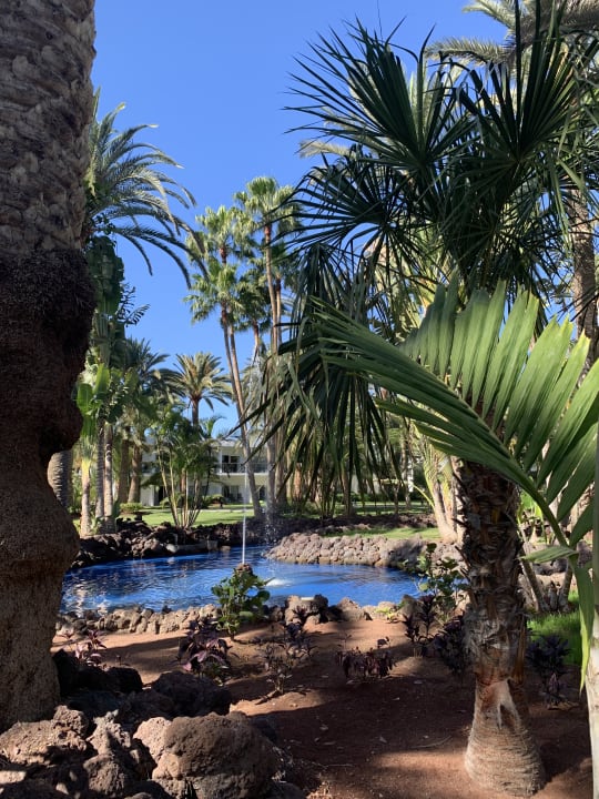 Gartenanlage Hotel Riu Palace Oasis