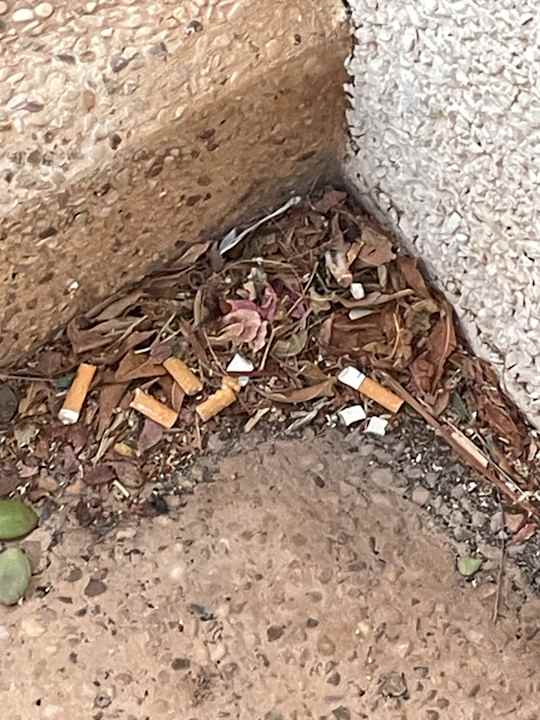 Außenansicht Hotel Riu Palace Jandia