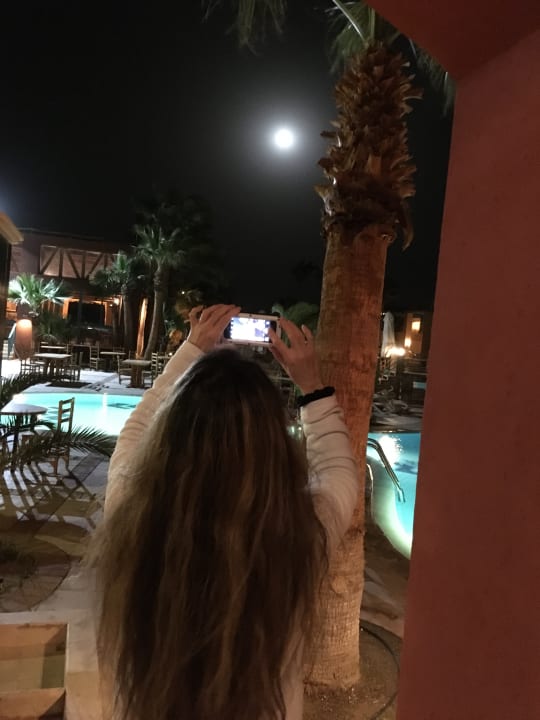 Pool Sheraton Miramar Resort El Gouna