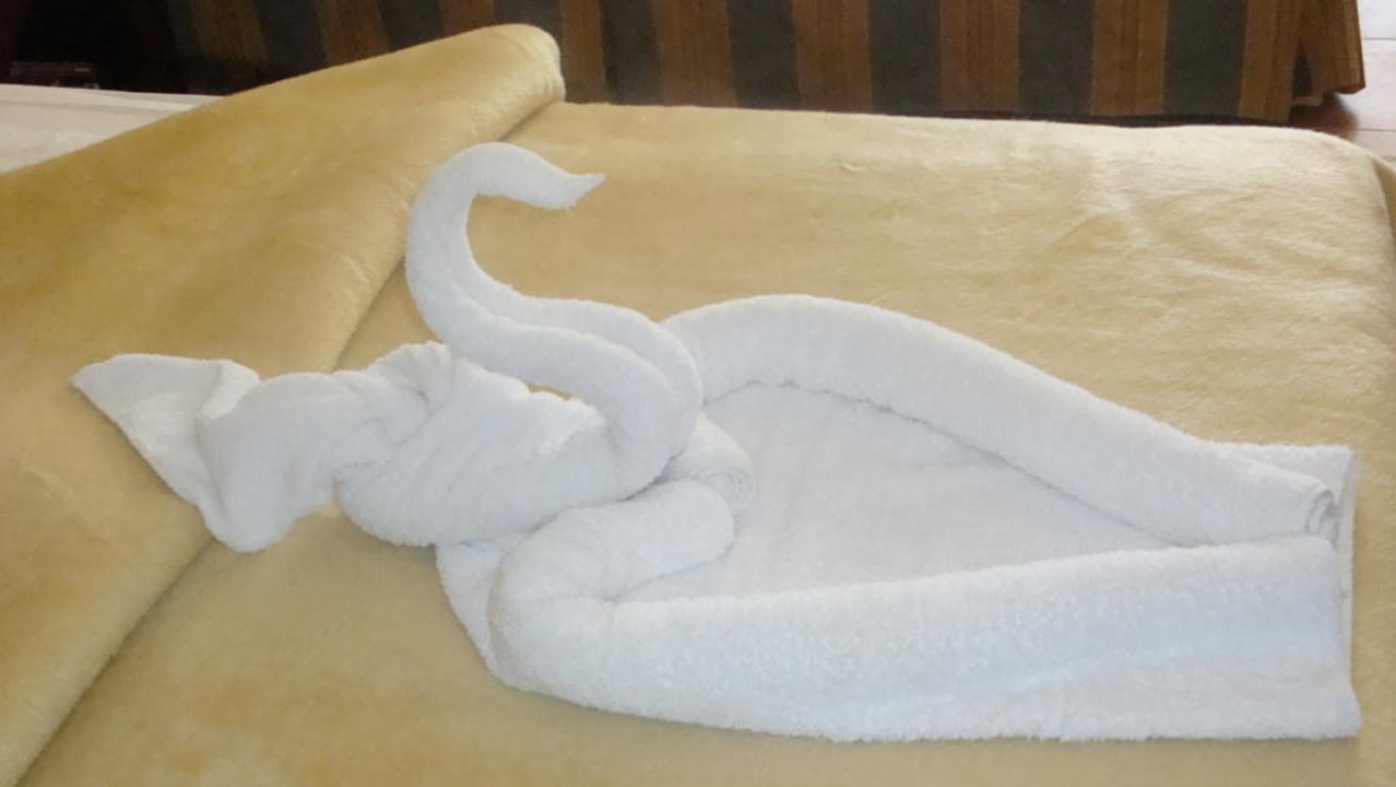 Schwan am Bett Stella Beach Resort & Spa Makadi Bay