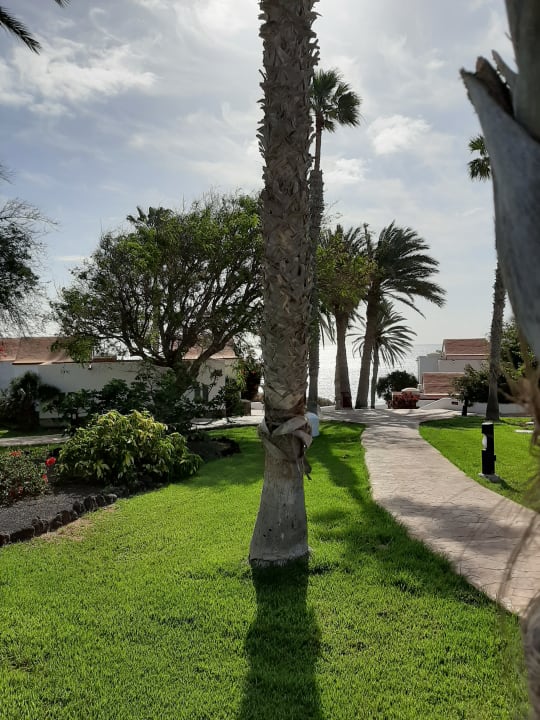 Gartenanlage Aldiana Club Fuerteventura