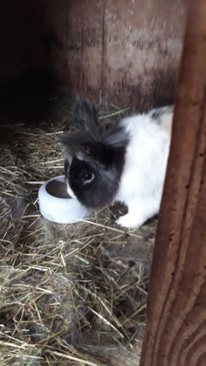 Sonstiges Bauernhof Bernhardenhof