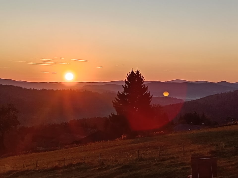 Ausblick Hunderesort Waldeck