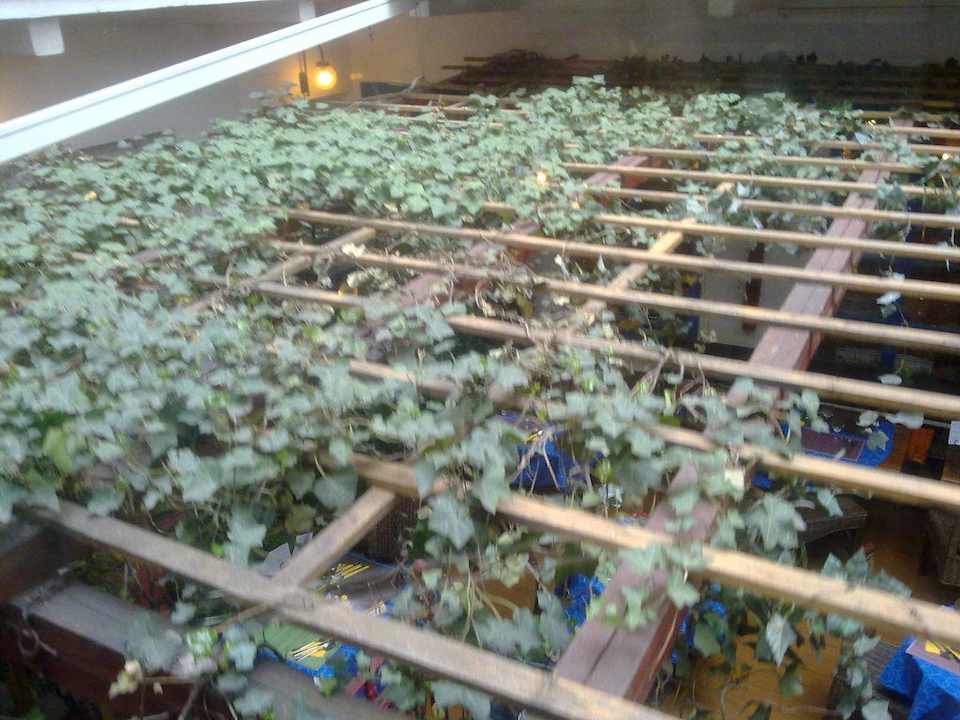 Внутренний сад отеля Hotel Salvador