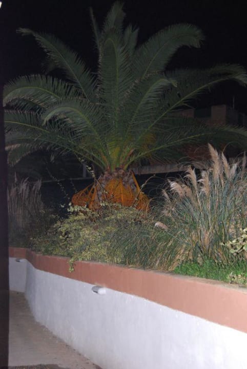 Ausblick 1. Stock Landblick DoubleTree by Hilton Malta