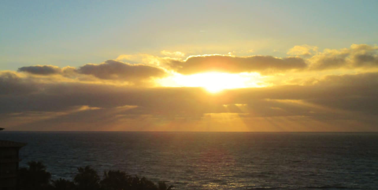Ausblick Hotel Riu Madeira