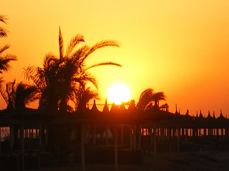 Sonnenaufgang Pickalbatros Palace Resort