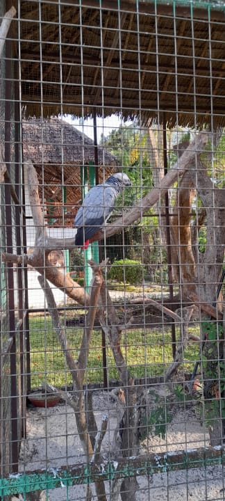 Sonstiges Hotel Kiwengwa Beach Resort