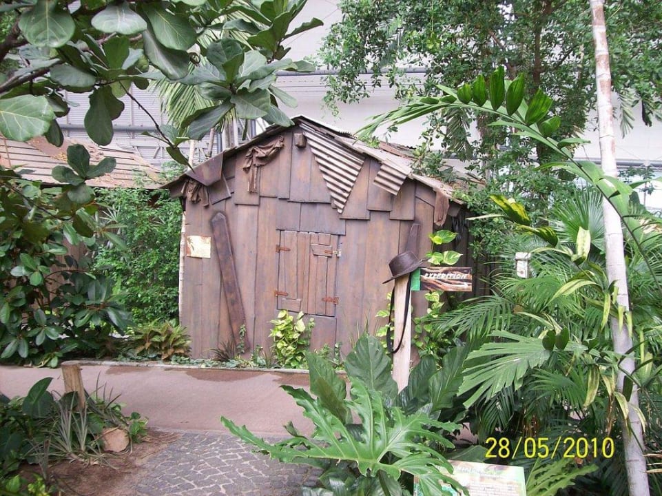 Regenwald mit Holzhütte Tropical Islands Resort