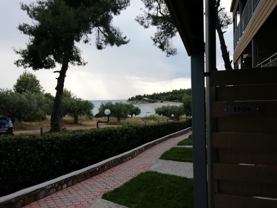 Ausblick Blue Dolphin Resort Hotel