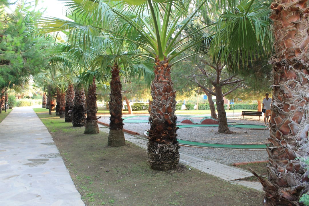 Minigolfanlage Blue Waters Club