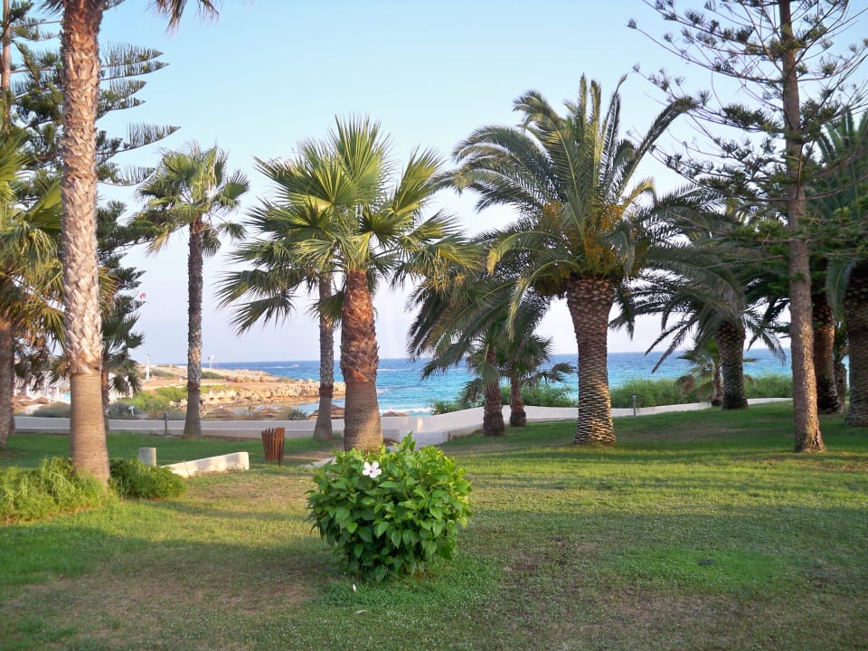 Morze Hotel Nissi Beach Resort