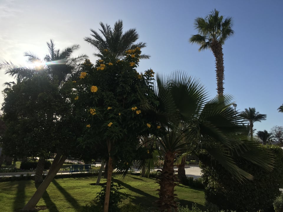 Gartenanlage The Grand Hotel Hurghada
