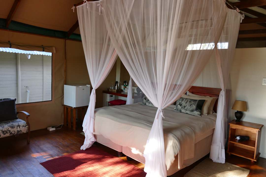 Zimmer Lion Tree Top Lodge