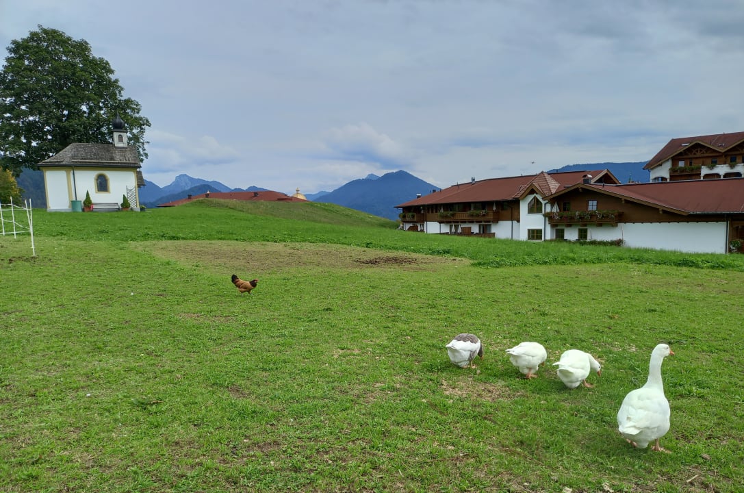 Außenansicht Wohlfühlresort Peternhof