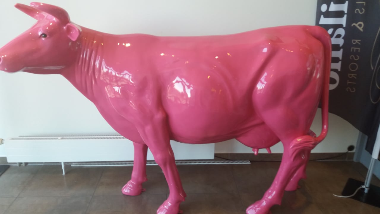 Sonstiges elaya hotel hamburg finkenwerder