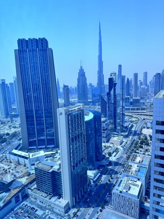 Ausblick Rose Rayhaan by Rotana