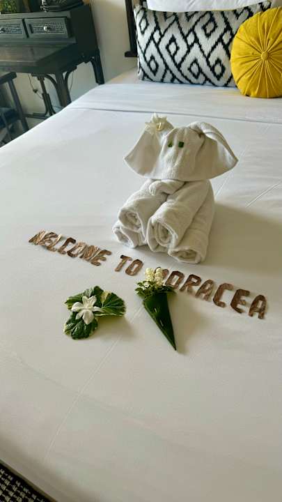 Zimmer Moracea by Khao Lak Resort