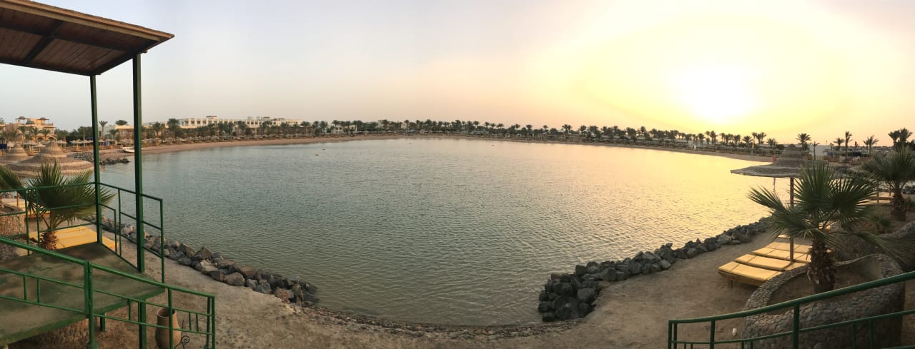 Ausblick Desert Rose