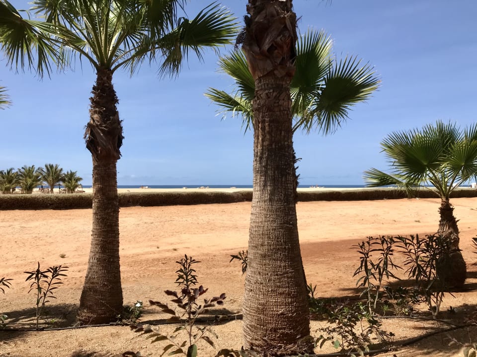 Strand Hotel Riu Touareg