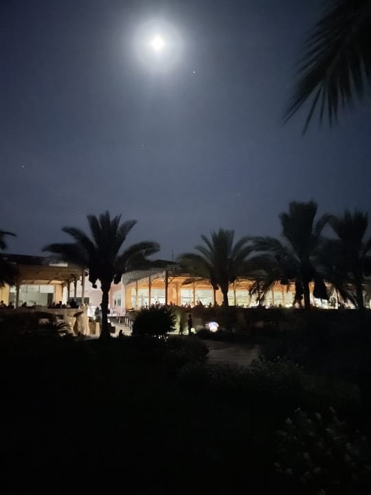 Gartenanlage Three Corners Sea Beach Resort