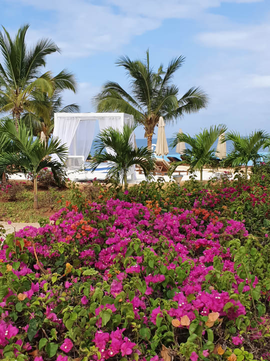 Gartenanlage Royal Zanzibar Beach Resort