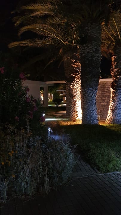 Gartenanlage Civitel Creta Beach