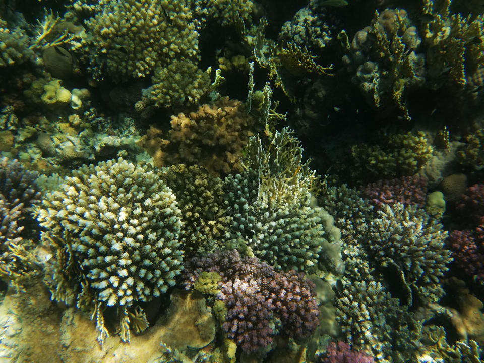 Strand Cleopatra Luxury Resort Makadi Bay