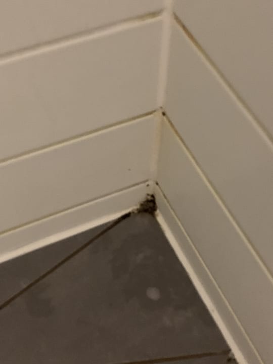 Zimmer Schlosshotel Monrepos