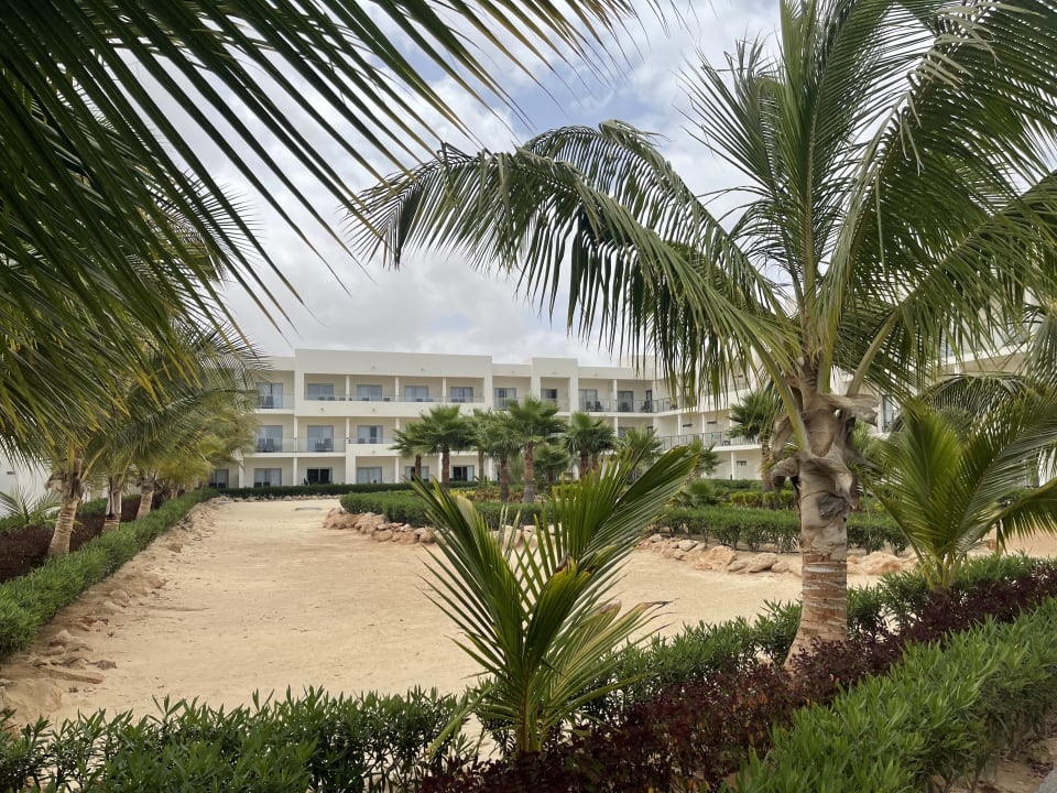 Gartenanlage Hotel Riu Palace Boavista