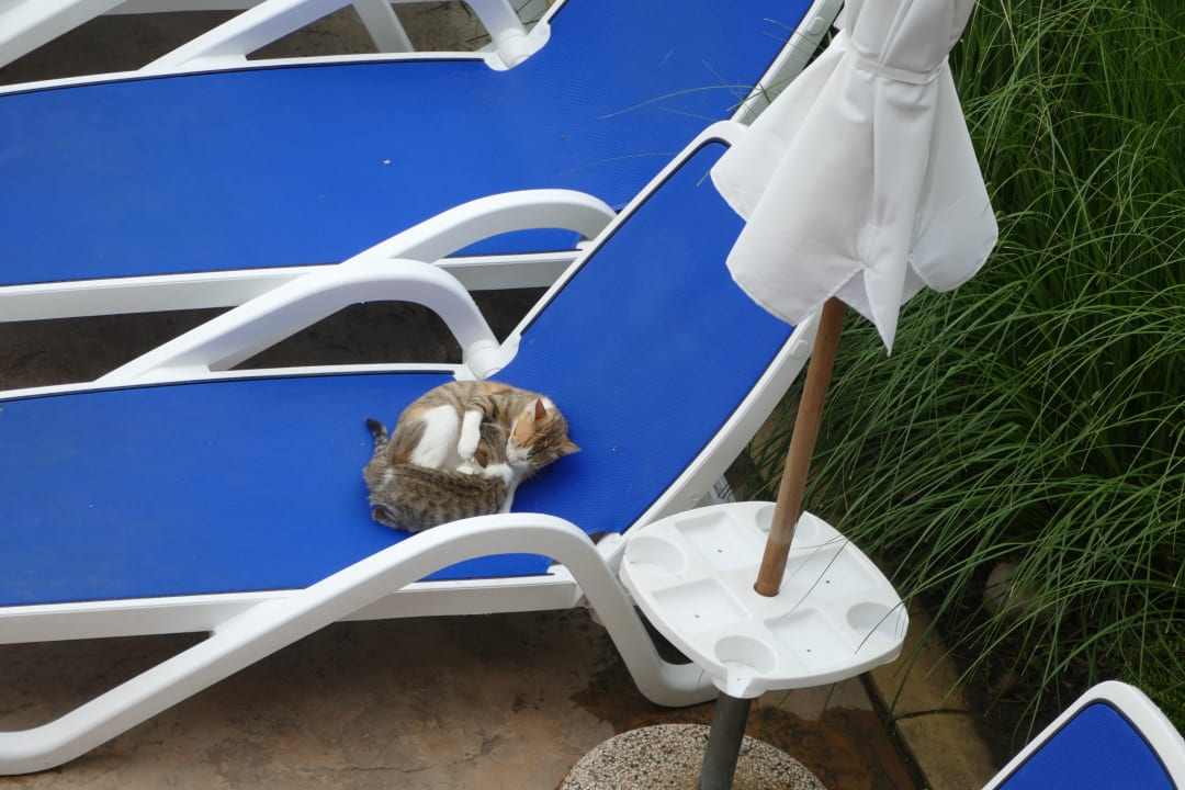 Sonstiges Sol Luna Bay