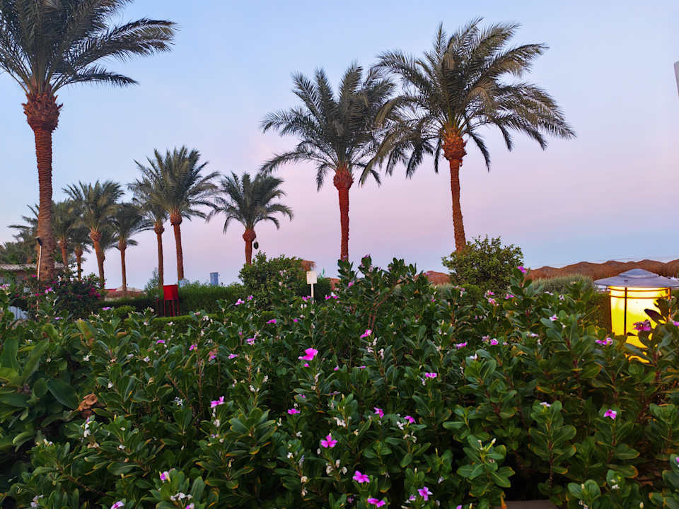 Ausblick Sentido Caribbean World Soma Bay