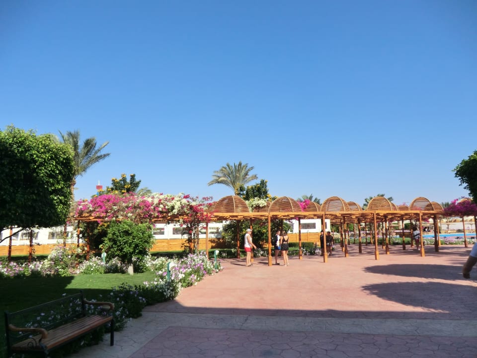 Die Gartenanlage am Pool Desert Rose