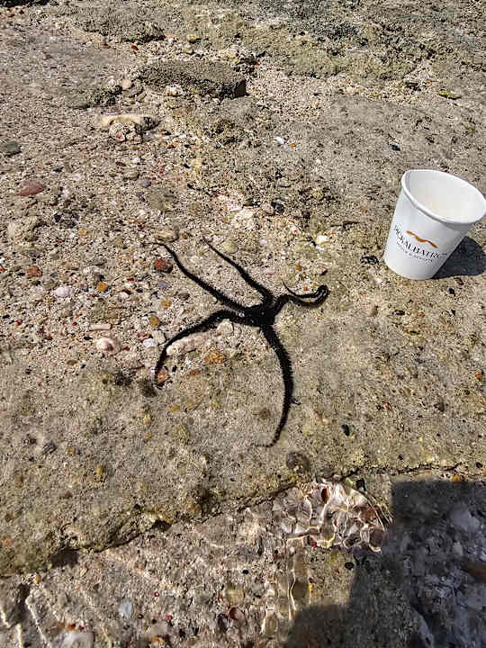 Strand Pickalbatros Villaggio Resort - Portofino