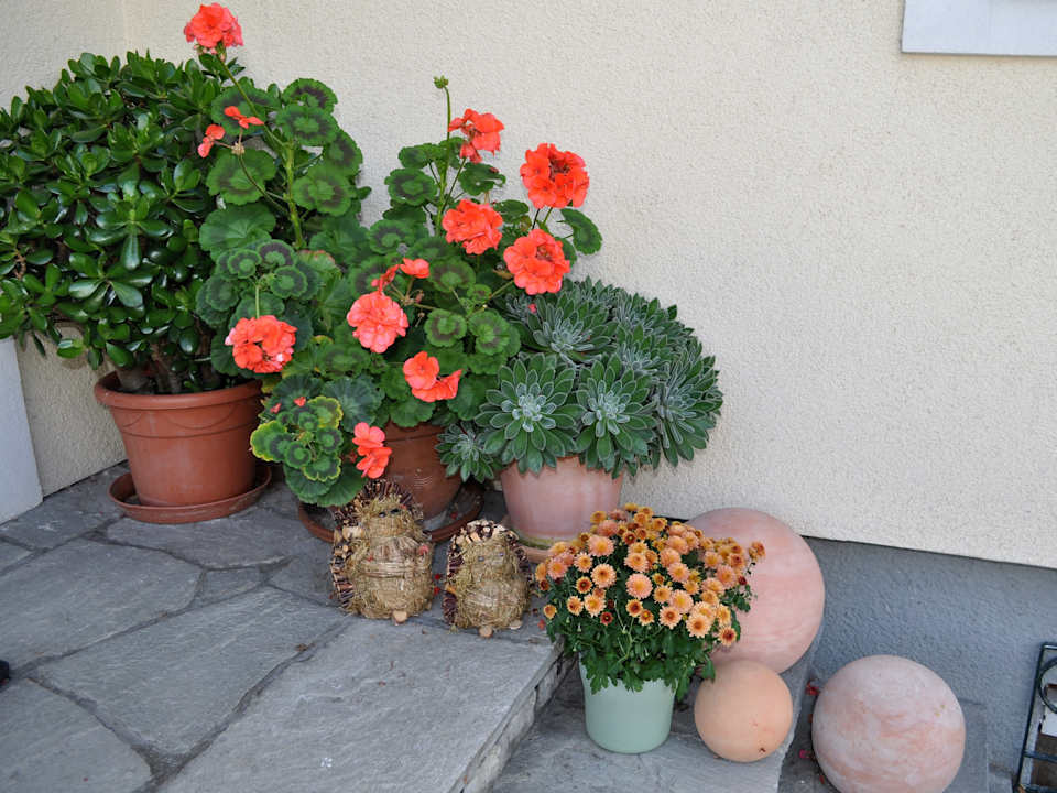 Sonstiges Apartments YourAlps