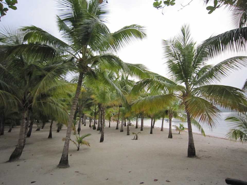 Sportstrand Playabachata Hotel